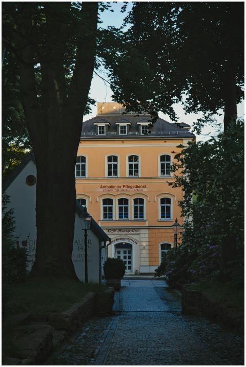 Charming historic building facade surrounded by tr