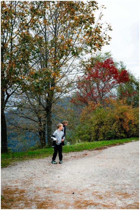 Free stock photo of children fun, children playing