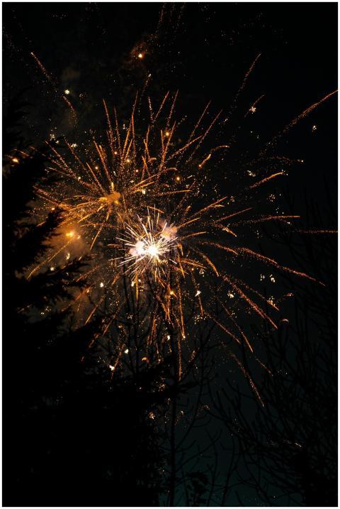 Stunning fireworks burst over trees at night in Br