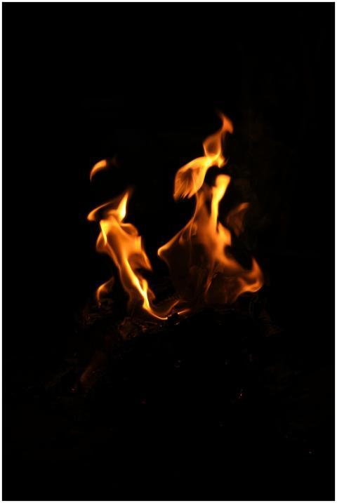 Captivating flames dance against a deep black back