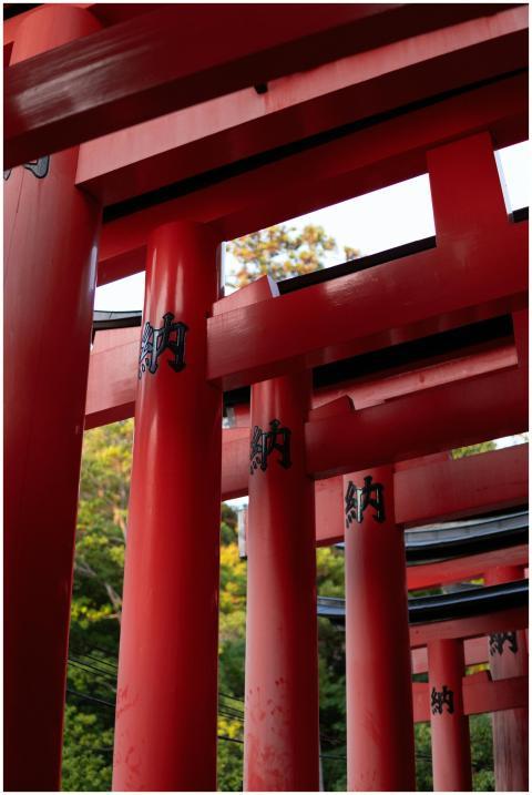 Traditional red torii gates at a Japanese shrine s