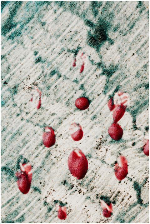 Artistic abstract image featuring red shapes on a