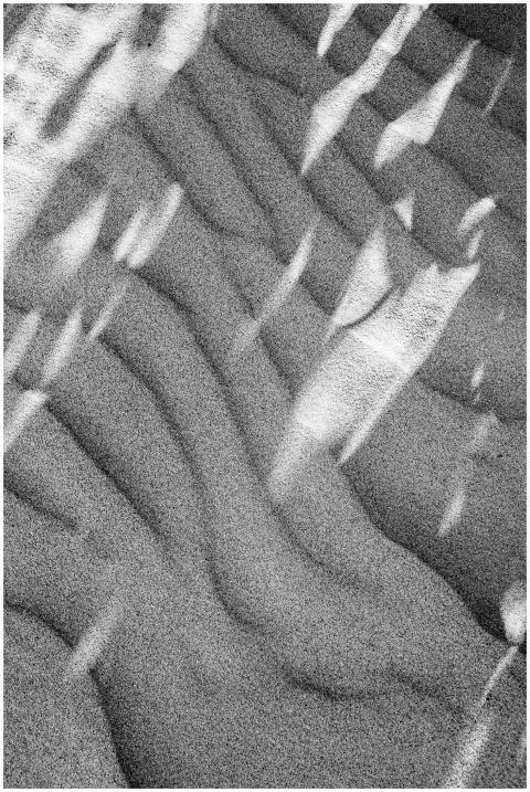 High-contrast black and white photo capturing abst