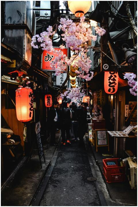 Explore a lively Japanese alley adorned with lante