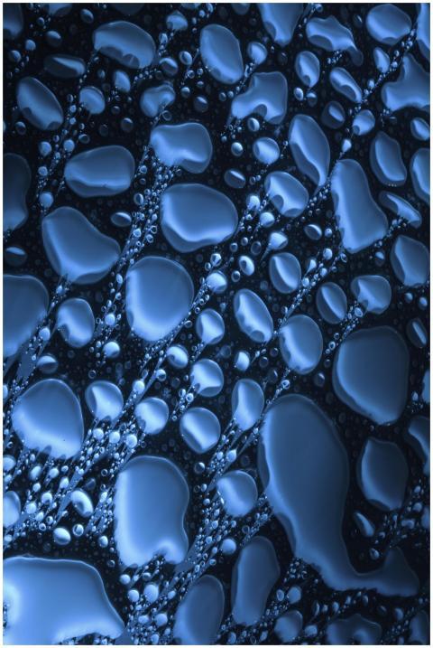 Top view closeup of water drops of various shapes