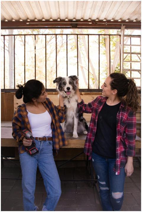 Two women petting a Border Collie in an outdoor ca