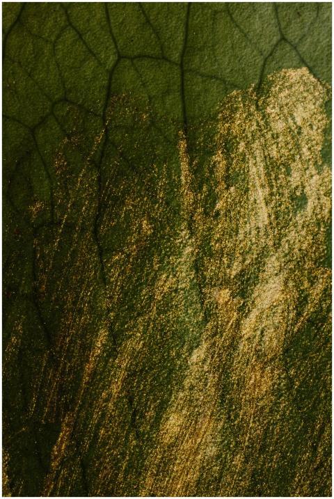 A textured abstract image with a combination of go