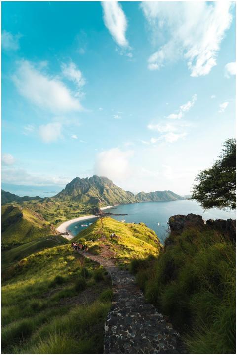 A stunning view of Padar Island with lush greenery