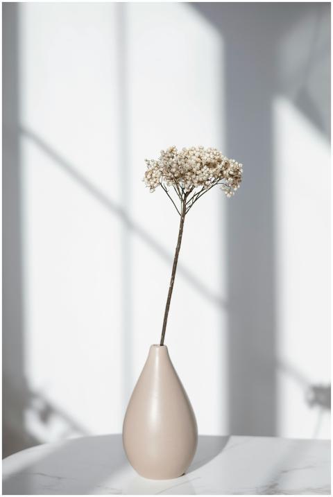 Minimalist flower vase with delicate flower in sof