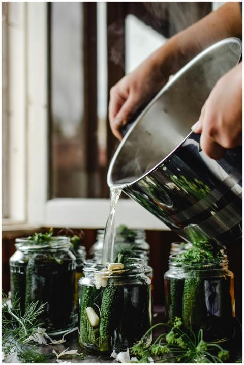 Fresh cucumbers being pickled in glass jars with h