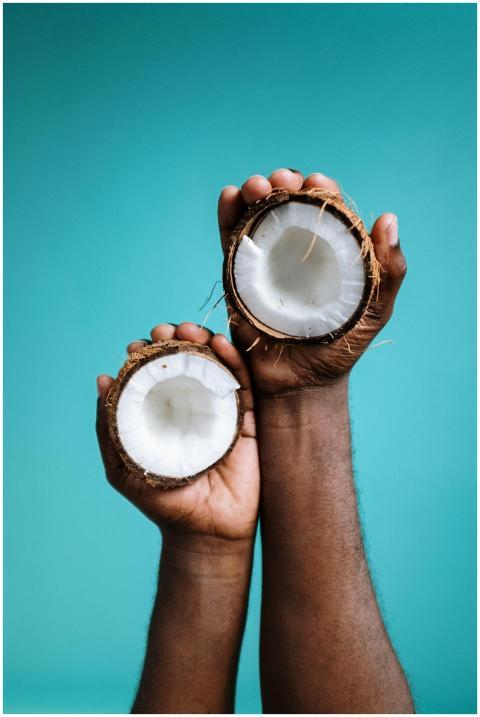 Hands holding fresh coconut halves on a vibrant bl