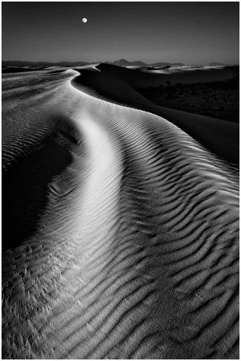 Monochrome view of rippling sand dunes under moonl