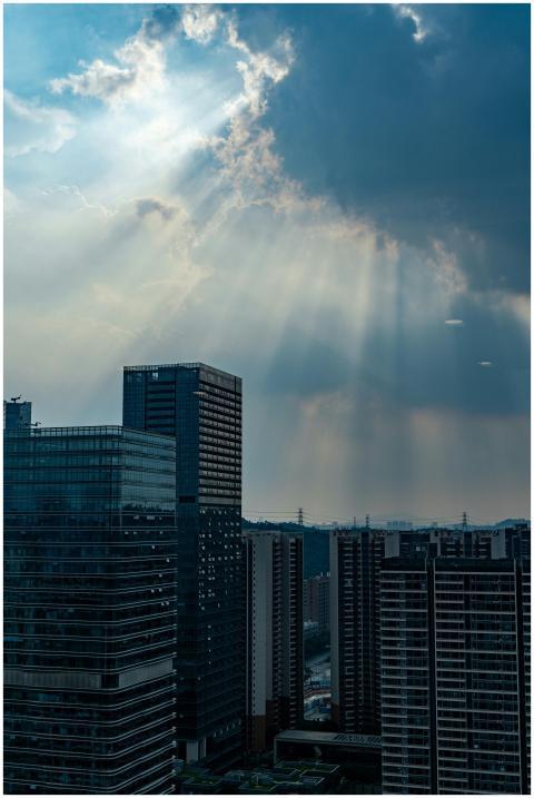 Cityscape featuring high-rise buildings and sunbea