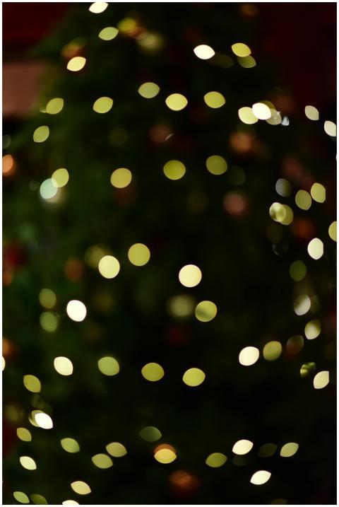 Blurred Christmas tree lights creating a magical b