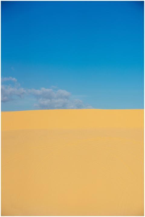 Explore the serene beauty of expansive desert sand