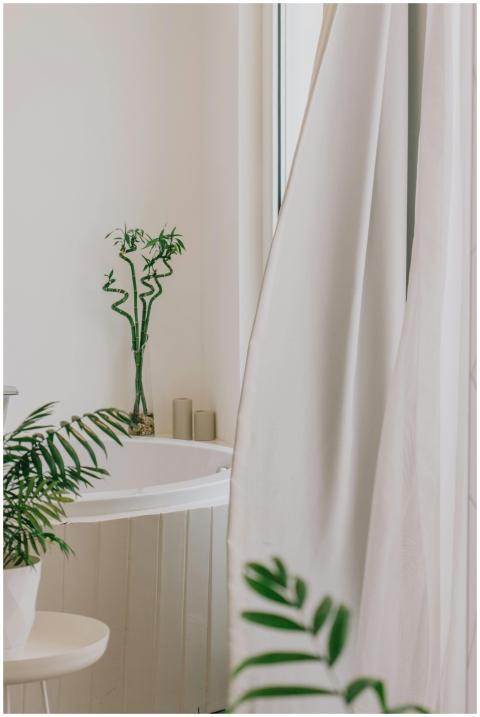 Modern bathroom featuring bamboo plants and white