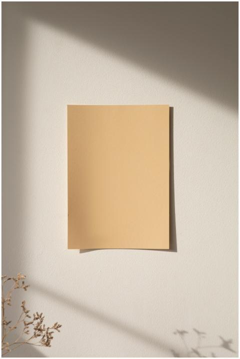 A minimalist mockup of beige paper on a sunlit wal