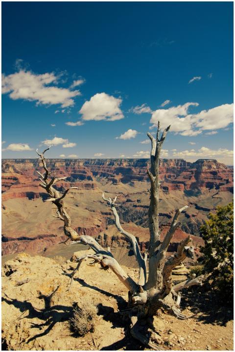 Stunning view of the Grand Canyon featuring a prom