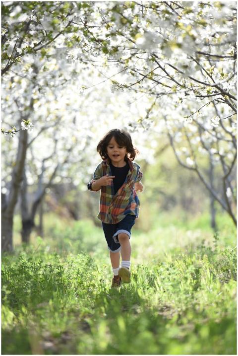 Happy child running in a sunlit orchard during spr