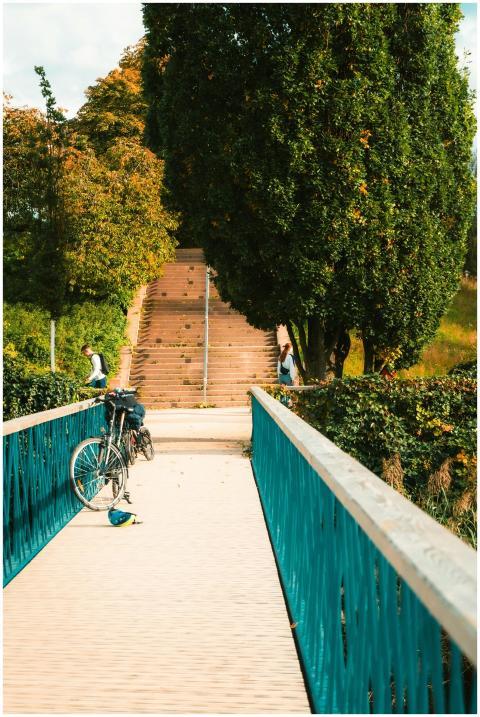 Free stock photo of autumn, bridge