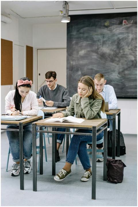 A group of teenagers focusing on studies in a clas