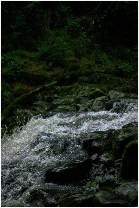 A vibrant waterfall cascading over mossy rocks in