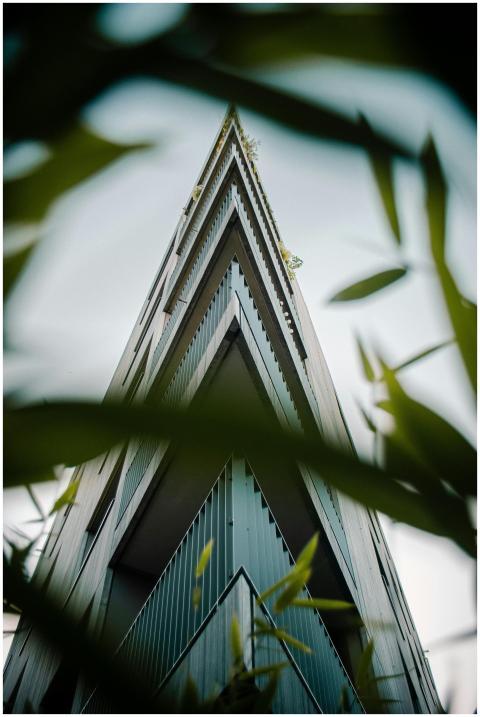 Low-angle view of a modern building framed by gree