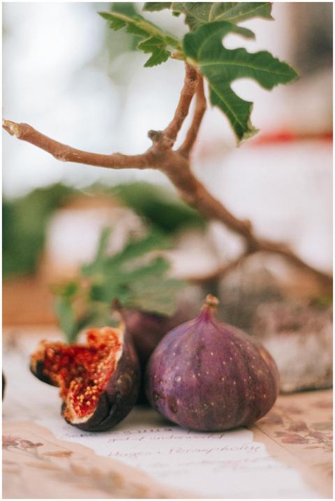 Artistic still life of ripe figs and a branch, cap