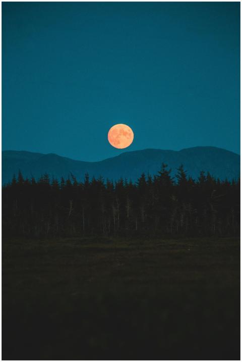 A vibrant full moon rises over a serene forest sil