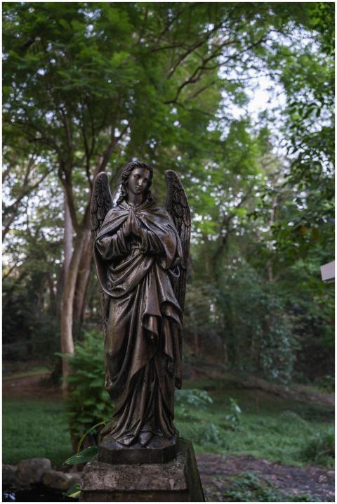 Serene Angel Statue Lush