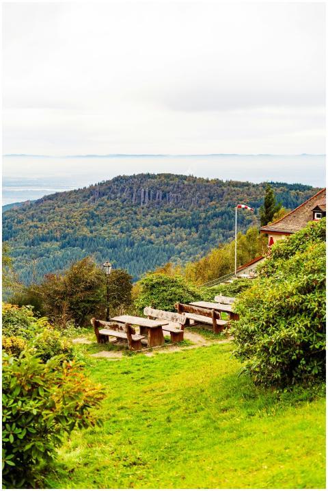 Free stock photo of wooden benches
