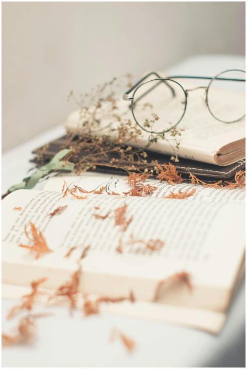 An open book with vintage eyeglasses surrounded by