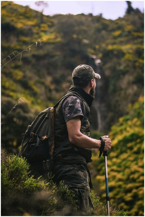 Man with hiking gear explores lush forest landscap