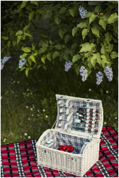 Charming outdoor picnic setup with wicker basket o
