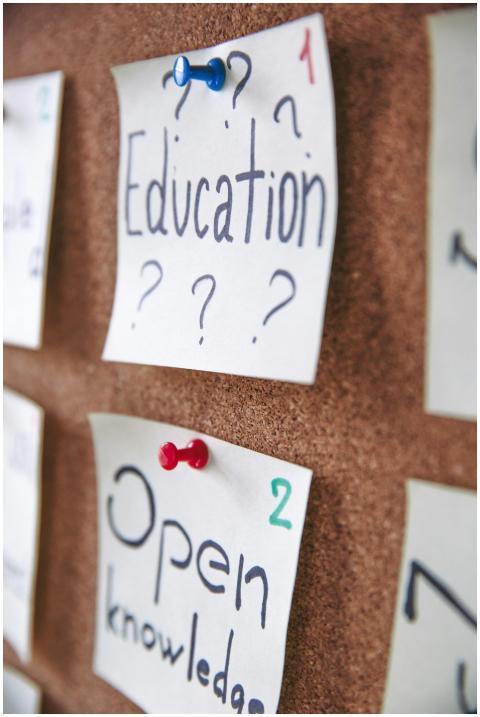 Pinned notes on a corkboard regarding education an