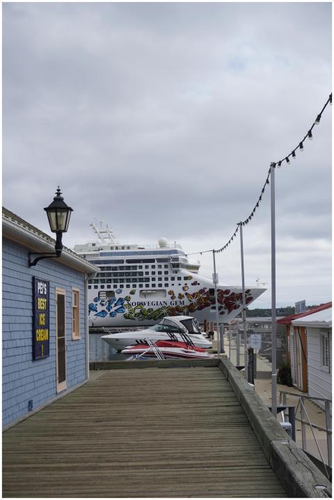 Large cruise ship docked at a port with scenic sur