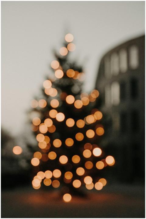 A softly focused Christmas tree adorned with warm