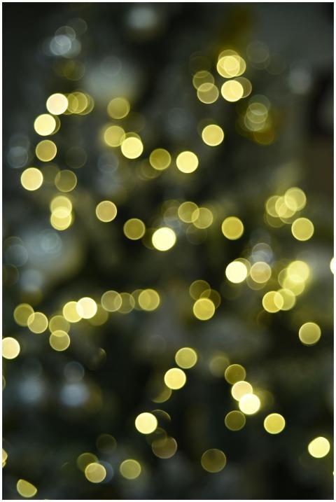 Warm Golden Bokeh Holiday