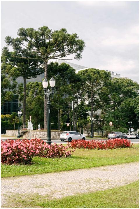 Scenic view of a park with lush greenery and urban