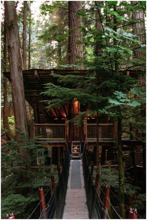 Small wooden tree house with burning electrical li