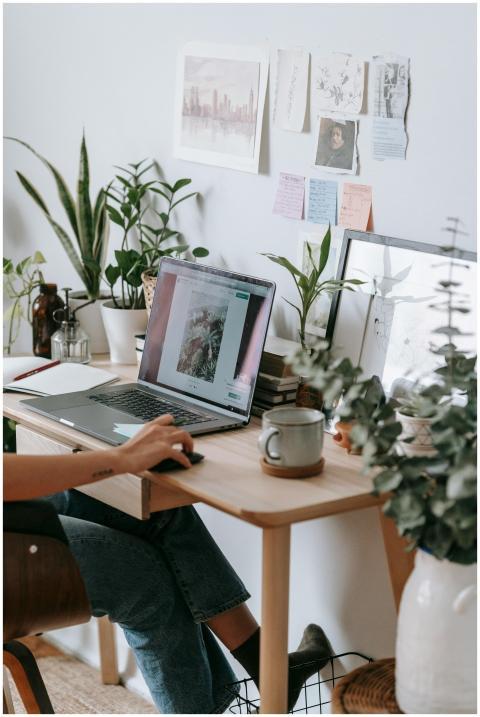 A modern home office setup with a laptop, plants,