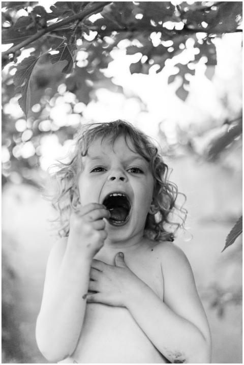 Free stock photo of active child, balckberry, chil