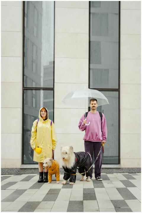 A couple with two dogs in matching raincoats stand