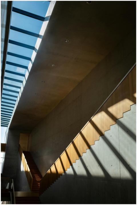 Modern minimalist museum interior featuring a sunl