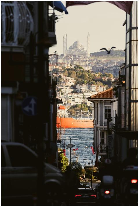 Street view of Istanbul showcasing a mosque in the