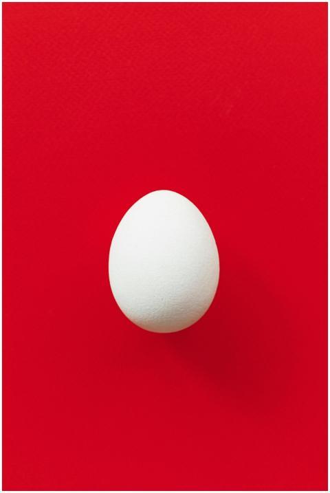 A single white egg centered on a vivid red backgro