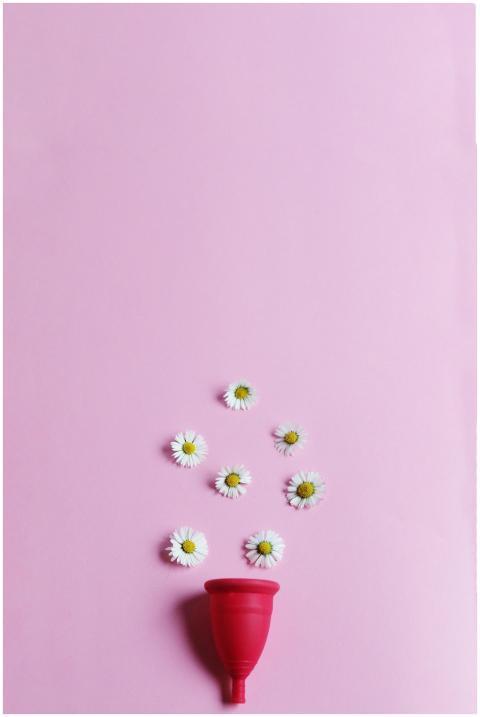 Red menstrual cup with daisies on a pink backgroun