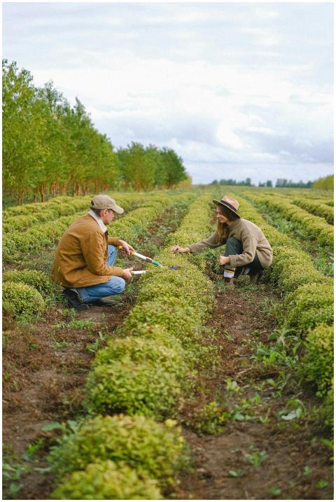 Two farmers working together in a lush green field