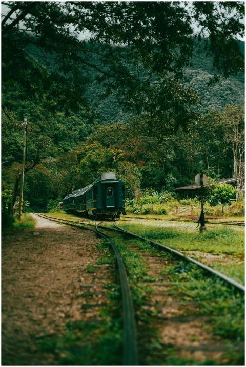 A vintage train journeying through a vibrant green