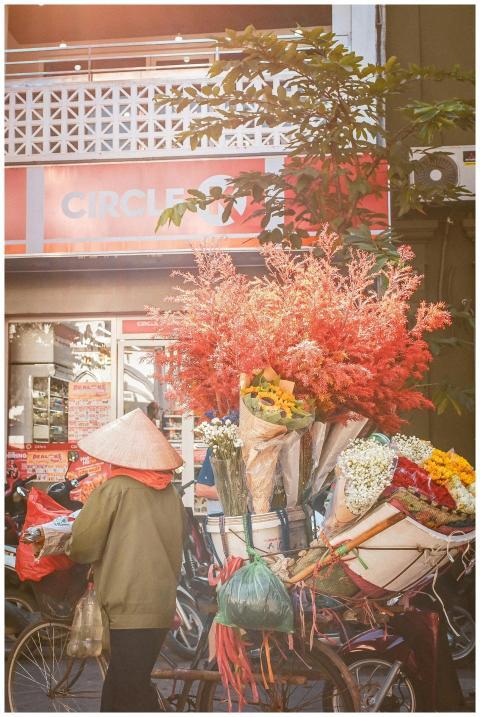 Street Vendor Bicycle Flower